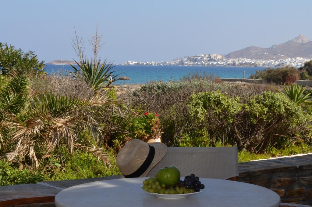 Villa Marandi Luxury Suites Stelida  Room photo